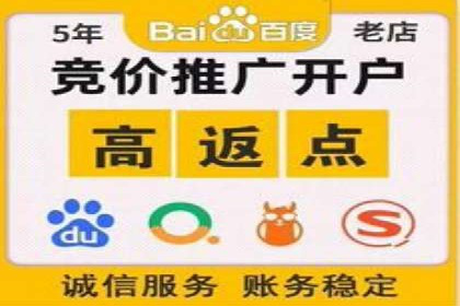 百度SEO推广公司案例精选：揭秘优化策略